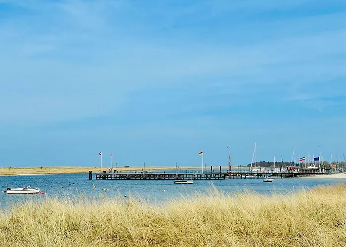 Strandhafer