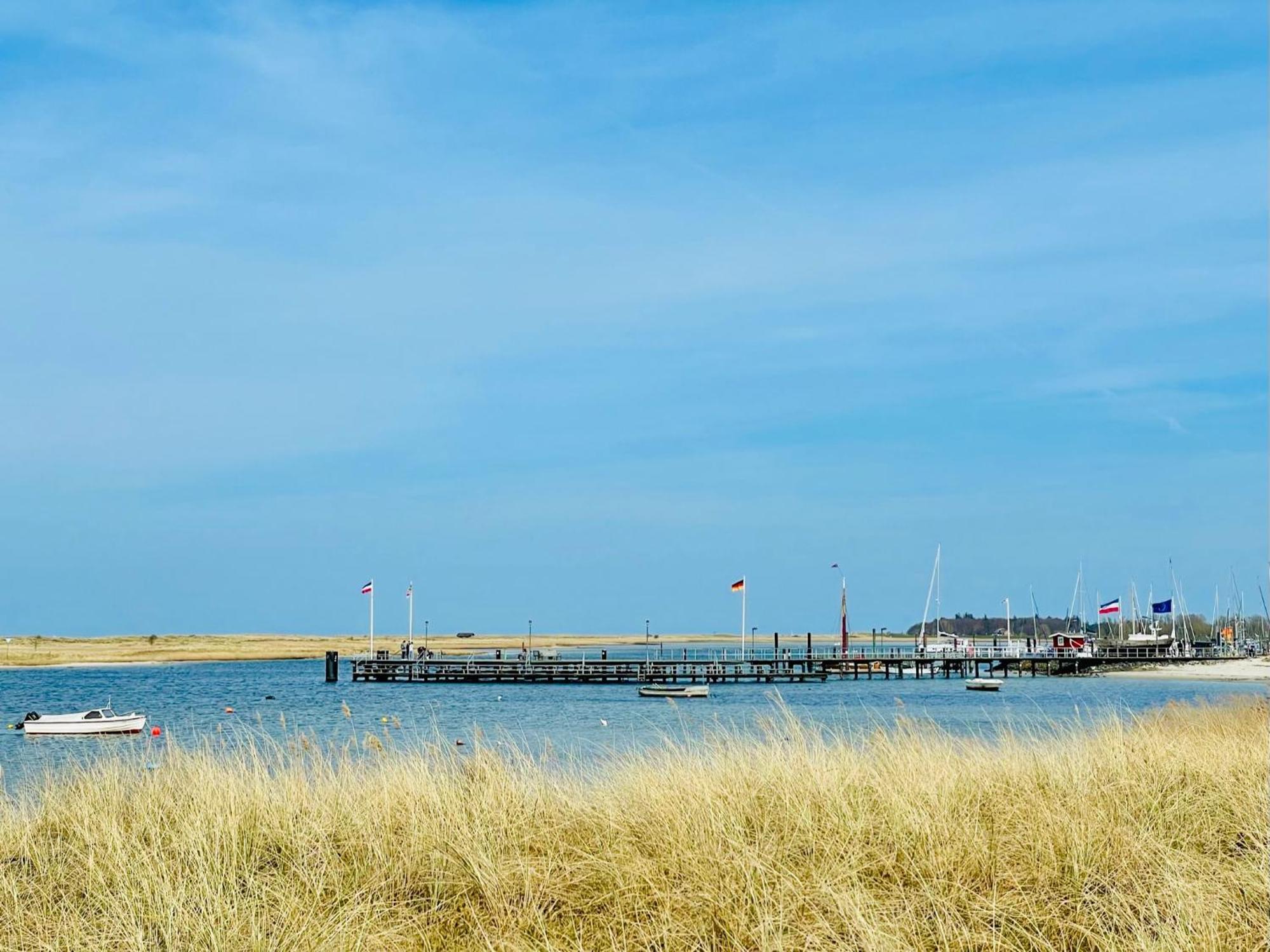 Strandhafer * Wendtorf